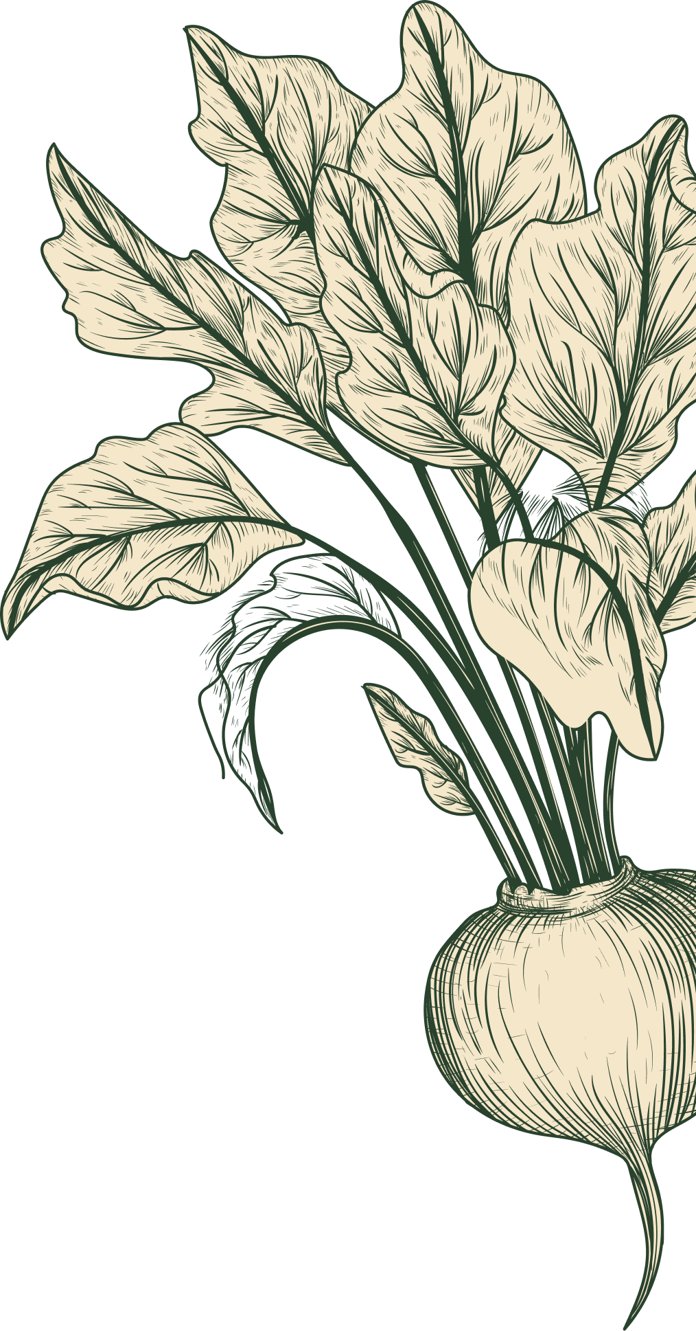 Veg